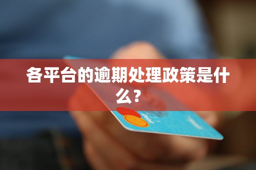各平台的逾期处理政策是什么? 各平台的逾期处理政策是什么?