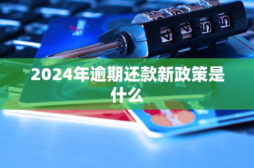 2024年逾期還款新政策是什么