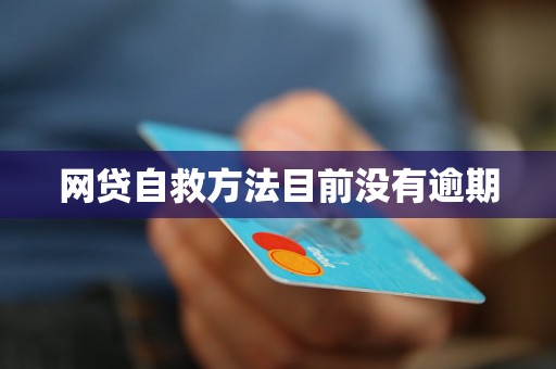 网贷自救方法目前没有逾期