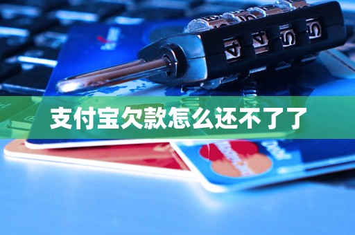支付宝欠款怎么还不了了