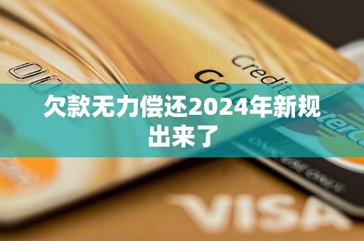 欠款無力償還2024年新規(guī)出來了