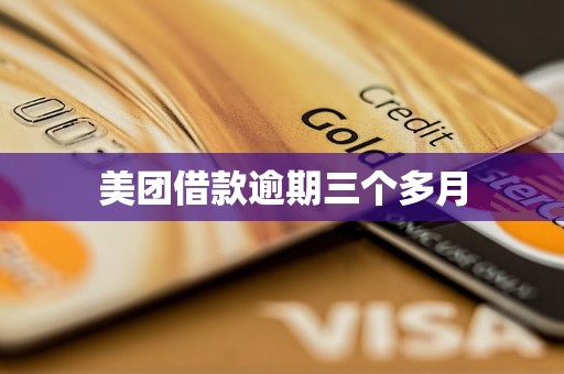 美团借款逾期三个多月