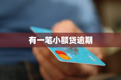 有一笔小额贷逾期
