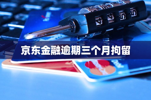 京东金融逾期三个月拘留