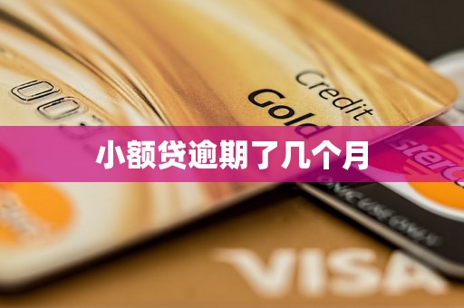 小额贷逾期了几个月