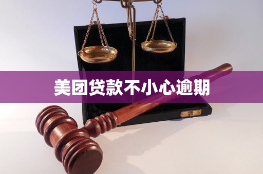 美团贷款不小心逾期