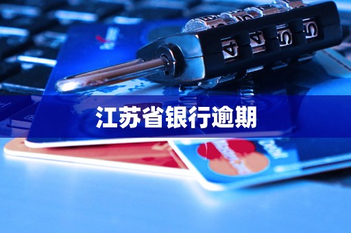 江苏省银行逾期