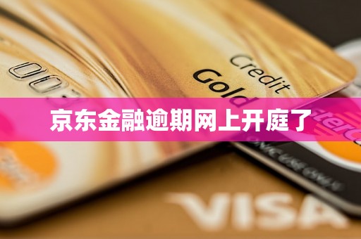 京东金融逾期网上开庭了