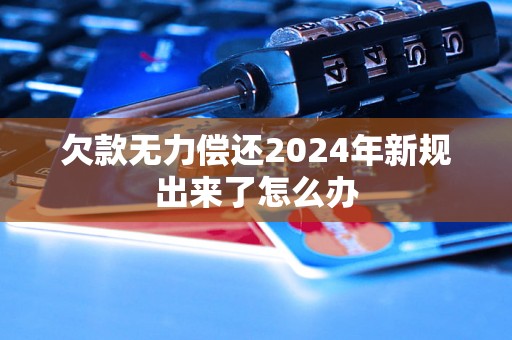 欠款无力偿还2024年新规出来了怎么办