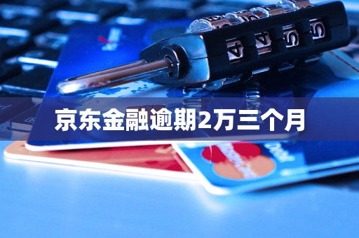 京东金融逾期2万三个月 京东金融逾期2万三个月