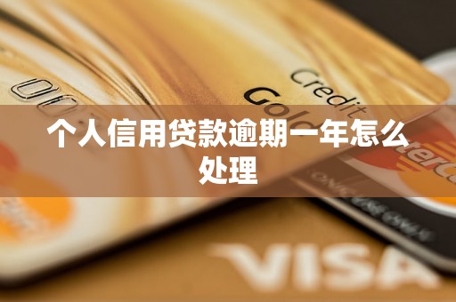 个人信用贷款逾期一年怎么处理