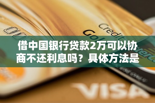 借中國銀行貸款2萬可以協(xié)商不還利息嗎？具體方法是什么？