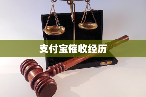 支付寶催收經(jīng)歷