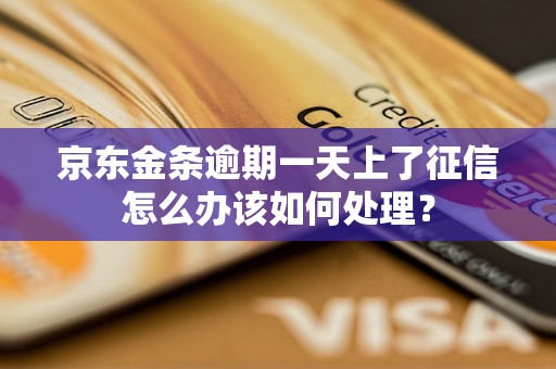 京東金條逾期一天上了征信怎么辦該如何處理？