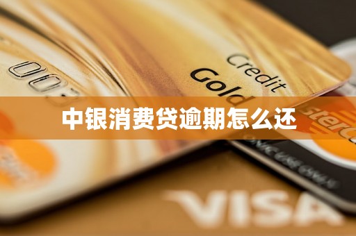 中银消费贷逾期怎么还