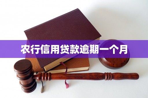农行信用贷款逾期一个月