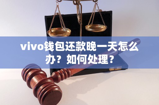 vivo錢包還款晚一天怎么辦？如何處理？