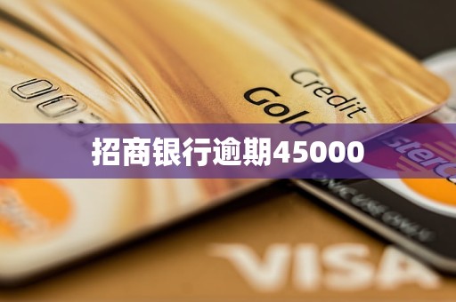 招商銀行逾期45000