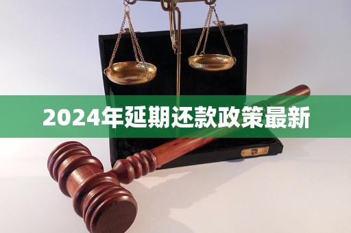 2024年延期还款政策最新