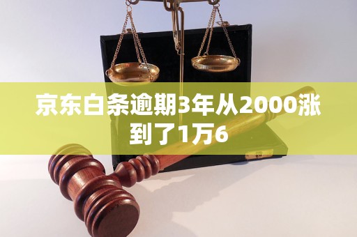 京東白條逾期3年從2000漲到了1萬(wàn)6