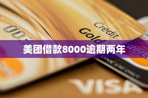 美团借款8000逾期两年