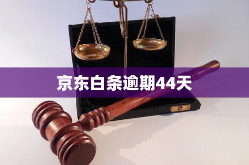 京东白条逾期44天