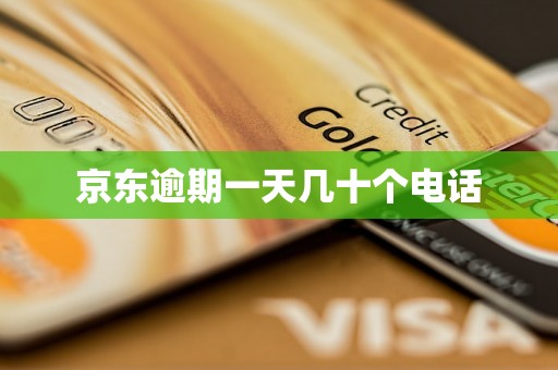 京东逾期一天几十个电话 京东逾期一天几十个电话