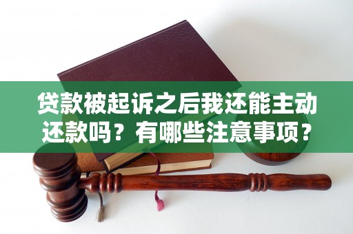 贷款被起诉之后我还能主动还款吗？有哪些注意事项？