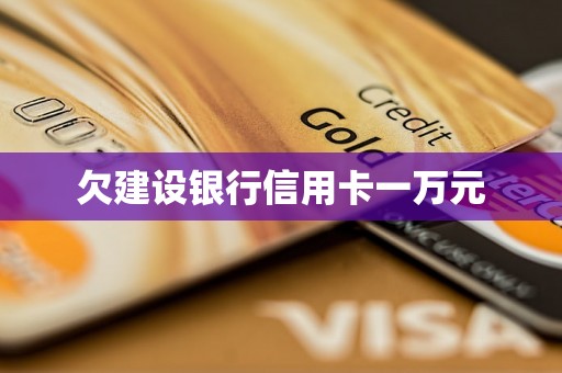 欠建设银行信用卡一万元 欠建设银行信用卡一万元