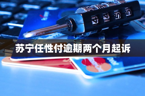 苏宁任性付逾期两个月起诉