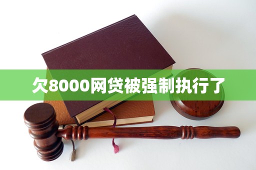 欠8000網(wǎng)貸被強(qiáng)制執(zhí)行了