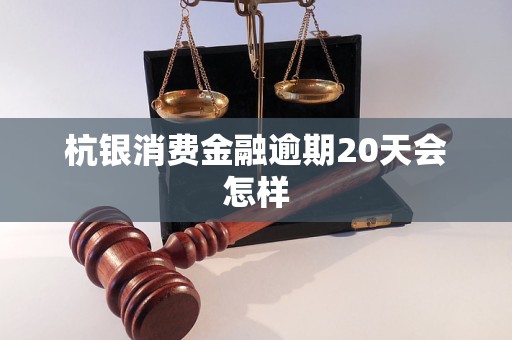 杭銀消費(fèi)金融逾期20天會(huì)怎樣