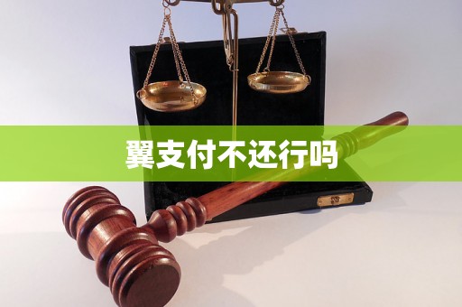 翼支付不还行吗