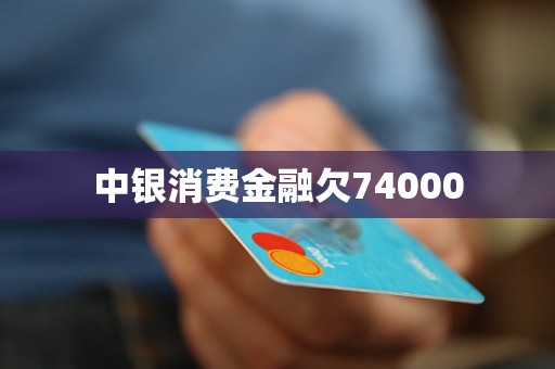 中銀消費(fèi)金融欠74000