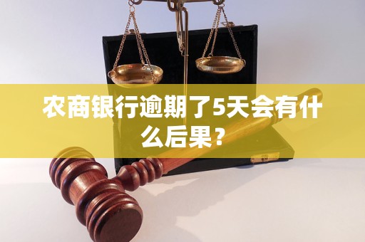 農商銀行逾期了5天會有什么后果？