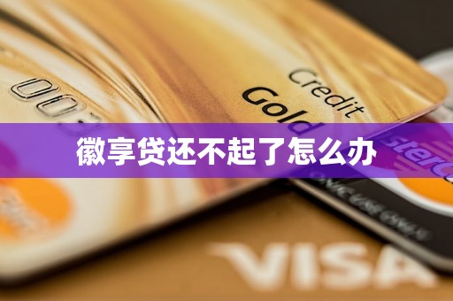 徽享贷还不起了怎么办