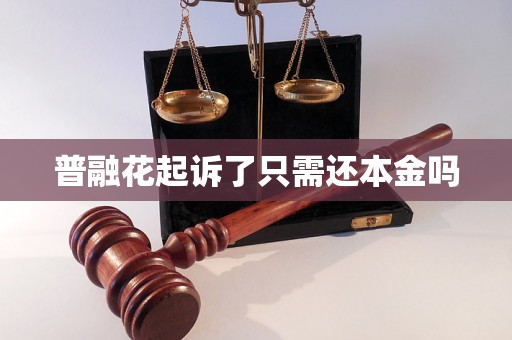 普融花起诉了只需还本金吗
