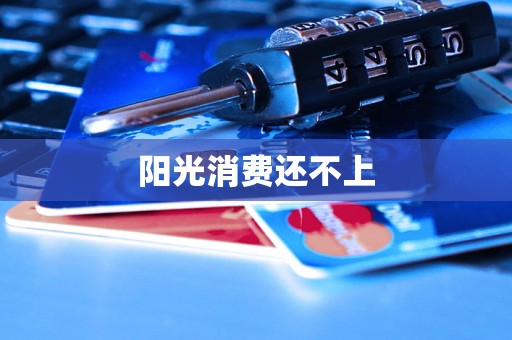 阳光消费还不上