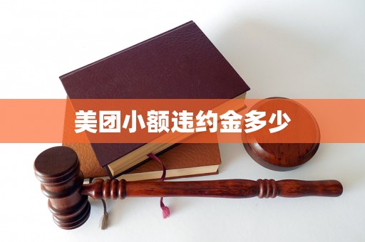 美团小额违约金多少