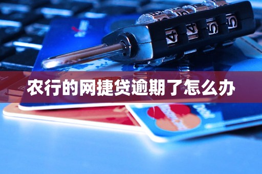 农行的网捷贷逾期了怎么办