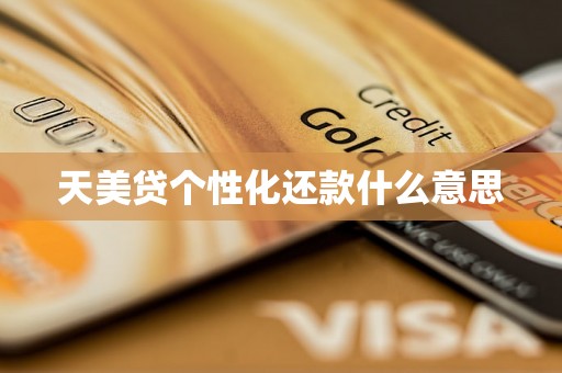 天美贷个性化还款什么意思