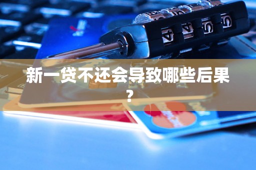 新一贷不还会导致哪些后果？