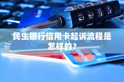 民生银行信用卡起诉流程是怎样的？
