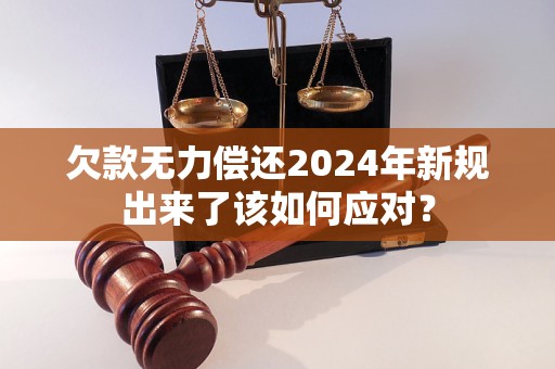 欠款無力償還2024年新規(guī)出來了該如何應對？