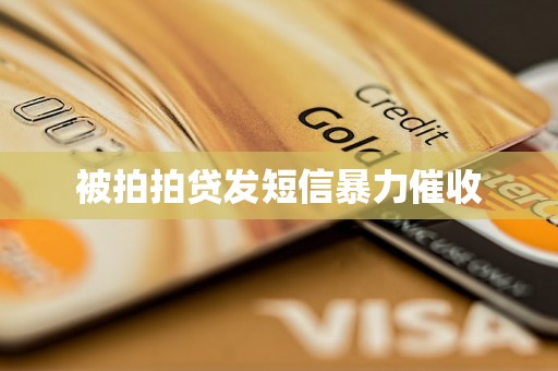 被拍拍贷发短信暴力催收