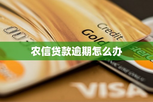 农信贷款逾期怎么办
