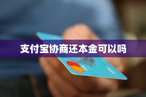 支付寶協(xié)商還本金可以嗎