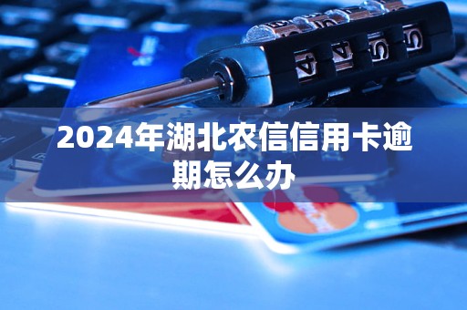 2024年湖北農(nóng)信信用卡逾期怎么辦