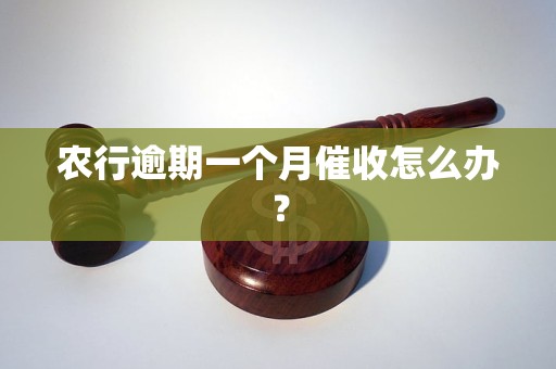 農(nóng)行逾期一個月催收怎么辦？