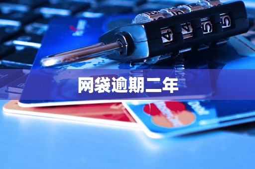 网袋逾期二年
